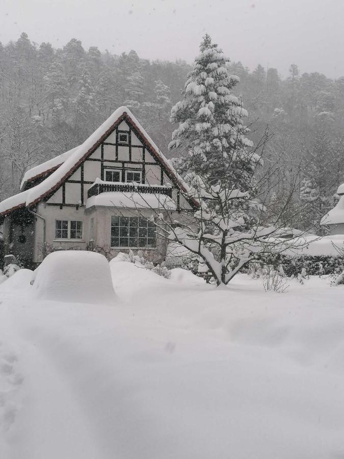 Ferienwohnung Natur Pur Muehlental Wernigerode Buitenkant foto