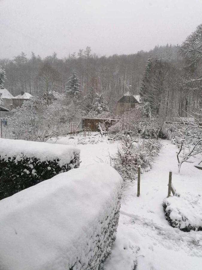 Ferienwohnung Natur Pur Muehlental Wernigerode Buitenkant foto