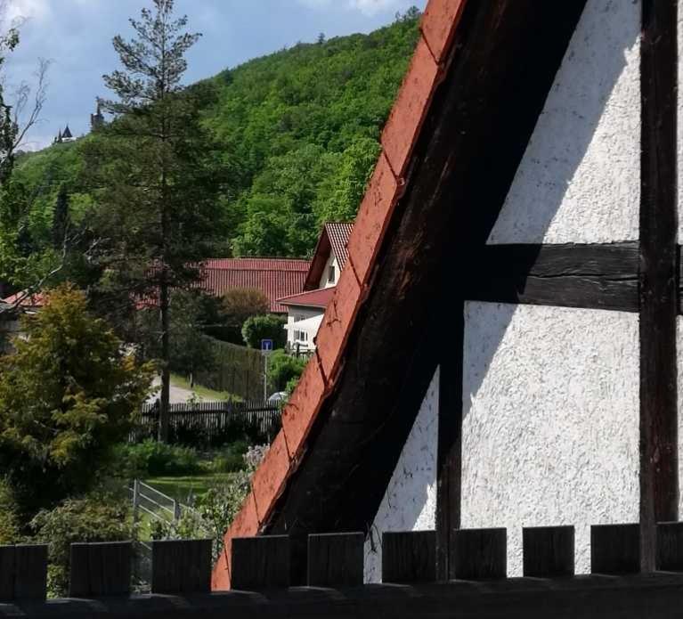 Ferienwohnung Natur Pur Muehlental Wernigerode Buitenkant foto