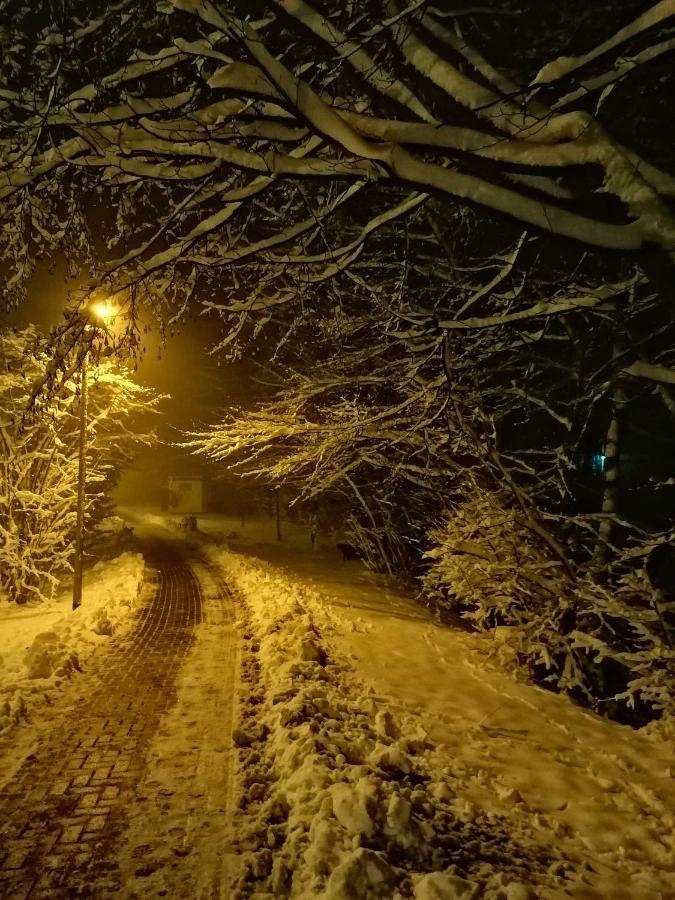 Ferienwohnung Natur Pur Muehlental Wernigerode Buitenkant foto